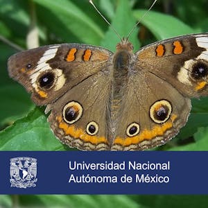Evolución: SÃntesis extendida from Universidad Nacional Autónoma de México online course platform
