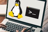Hands-on Introduction to Linux Commands and Shell Scripting