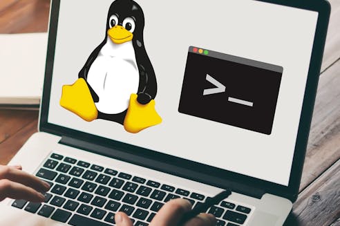 Python Developer Learning Paths: Courses and Resources by Skill Level ...