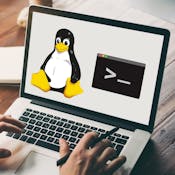 Hands-on Introduction to Linux Commands and Shell Scripting