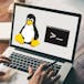 Introduction pratique aux commandes Linux et aux scripts Shell