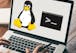 Hands-on Introduction to Linux Commands and Shell Scripting