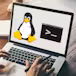 Hands-on Introduction to Linux Commands and Shell Scripting