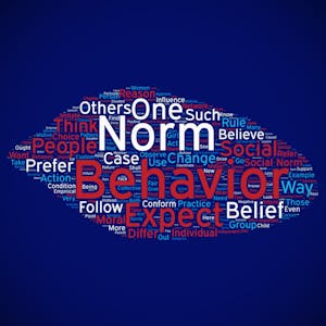 Social Norms, Social Change I