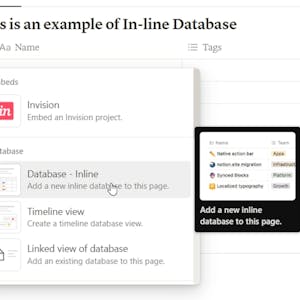 Notion for Beginners: Build Powerful Dashboards & Databases from Skillshare online course platform