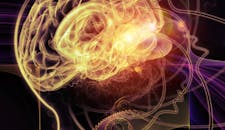 The Addicted Brain