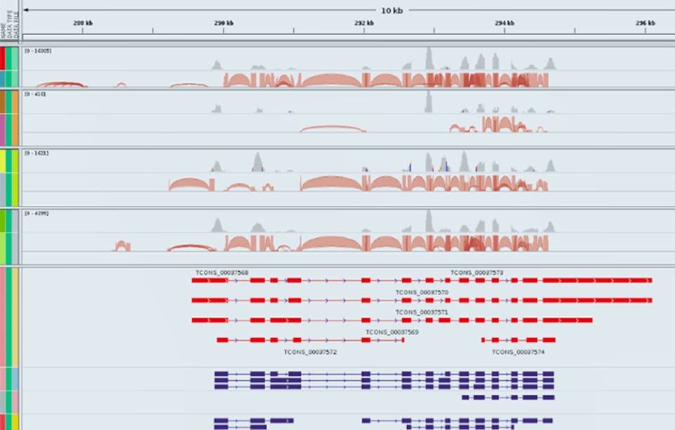 github - cbohara ucsd bioinformatics: https: Images... Bioinformatic Methods I | Coursera