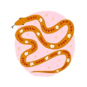 Kickstart Your Creativity with Procreate: Draw Animals