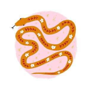 Kickstart Your Creativity with Procreate: Draw Animals - Online CE Course