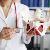 Integrated Pelvic Floor Health and Function