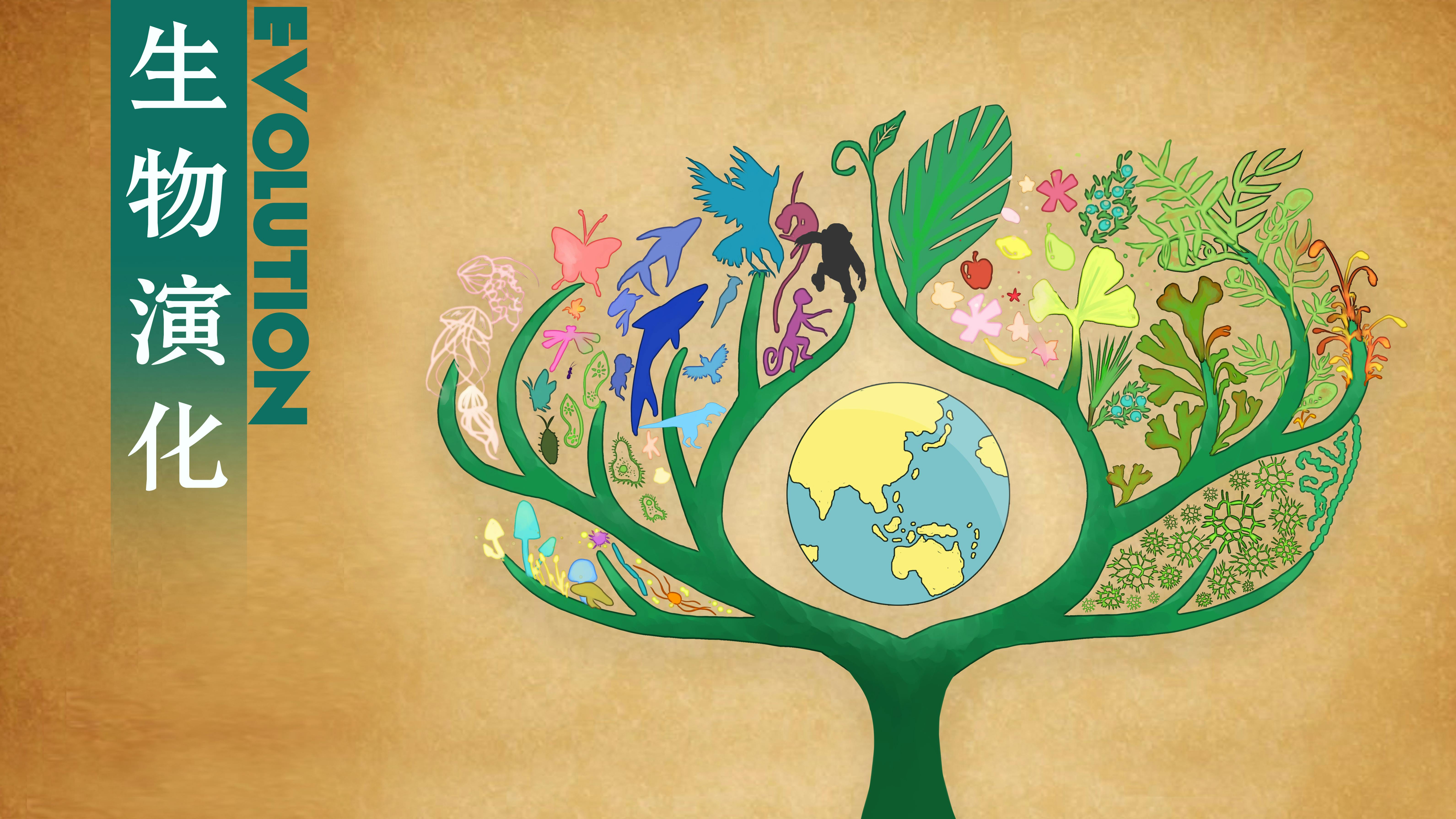 生物演化 Coursera