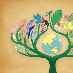 生物演化 - Online CE Course