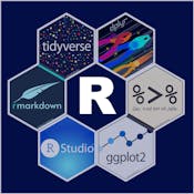 Introduction to R Programming and Tidyverse
