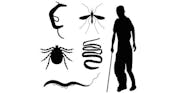 Tropical Parasitology: Protozoans, Worms, Vectors and Human Diseases
