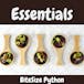 BiteSize Python for Absolute Beginners: Essentials