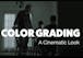 Color Grading: Creating a Cinematic Look