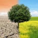 Science et ingénierie du changement climatique