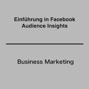 EinfĂĽhrung in Facebook Audience Insights - Online CE Course