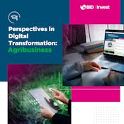 Perspectives in Digital Transformation: Agribusiness