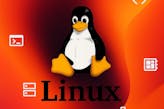Hands-on Introduction to Linux Commands and Shell Scripting