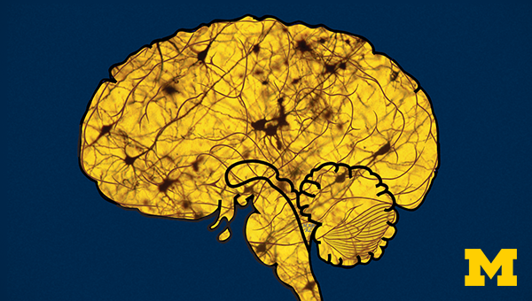 Yellow Creative Brain, Creative, Digital Brain, Human PNG