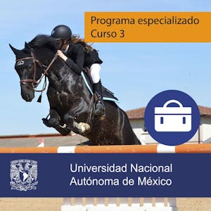Los obstáculos y la conducción en las negociaciones - Online CE Course