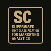 Supervised Text Classification for Marketing Analytics
