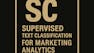 Supervised Text Classification for Marketing Analytics