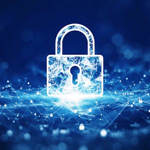 Image for the Managing IoT Security in Networks course