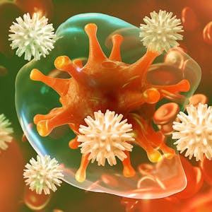 Fundamentals of Immunology T Cells and Signaling