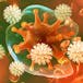 Fundamentals of Immunology: Complement, MHC I and II, T Cells, and Cytokines