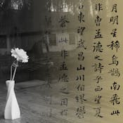 Classics of Chinese Humanities: Guided Readings