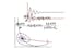 Dynamical Modeling Methods for Systems Biology