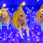 Management of Fashion and Luxury Companies