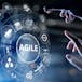 Training on Agile Practices to Manage Complex Projects