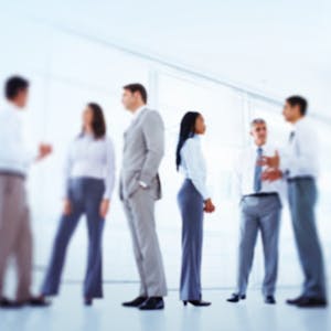 Business English Networking