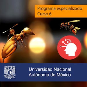 Comportamiento adaptativo from Universidad Nacional Autónoma de México online course platform