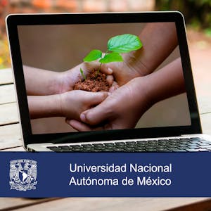 Innovación y medios digitales en proyectos sociales from Universidad Nacional Autónoma de México online course platform