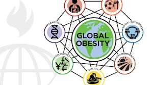 Systems Science and Obesity