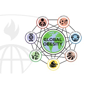 Systems Science and Obesity from Coursera | Course by Edvicer