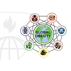 Systems Science and Obesity - Online CE Course
