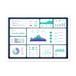 Data and Digital Strategy Execution