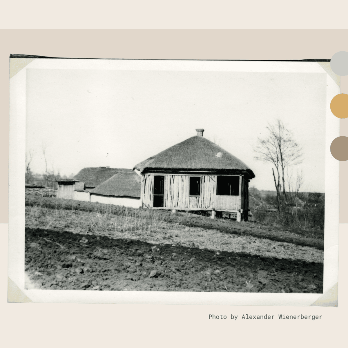 Famine as Genocide: The Holodomor in Ukraine