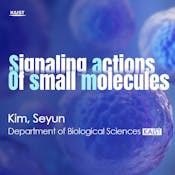 Signaling actions of small molecules