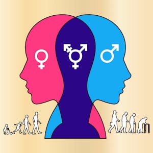 The Psychology of Gender and Sexuality from American Psychological Association online course platform