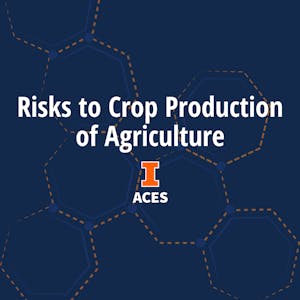 Risks to Crop Production in Agriculture - Online CE Course
