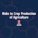 Risks to Crop Production in Agriculture