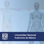 Mediciones corporales para la salud