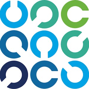 Auditing Generative AI: Strategy, Analysis & Risk Mitigation from ISACA online course platform