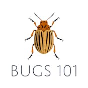 Bugs 101: Insect-Human Interactions